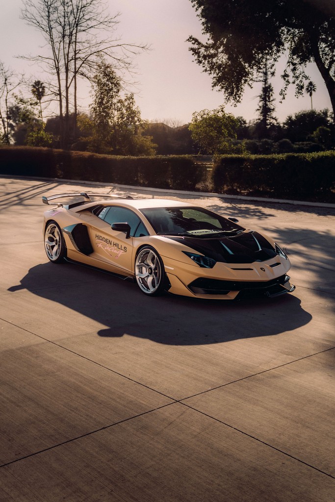 Lamborghini Aventador finished in Frozen Matte Sand
